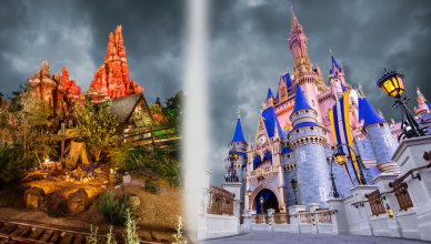 Magic Kingdom Expansion Feature Image